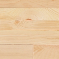 CUBE-Laerche-weiss_close_up