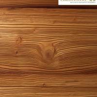 Galleria_Altholz_Larche_relief_4
