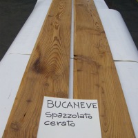 BUCANEVE