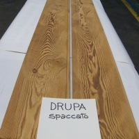 DRUPA