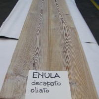 ENULA