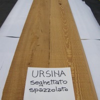 URSINA