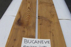 BUCANEVE