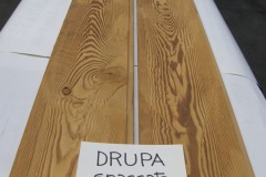 DRUPA