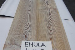 ENULA