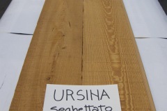 URSINA